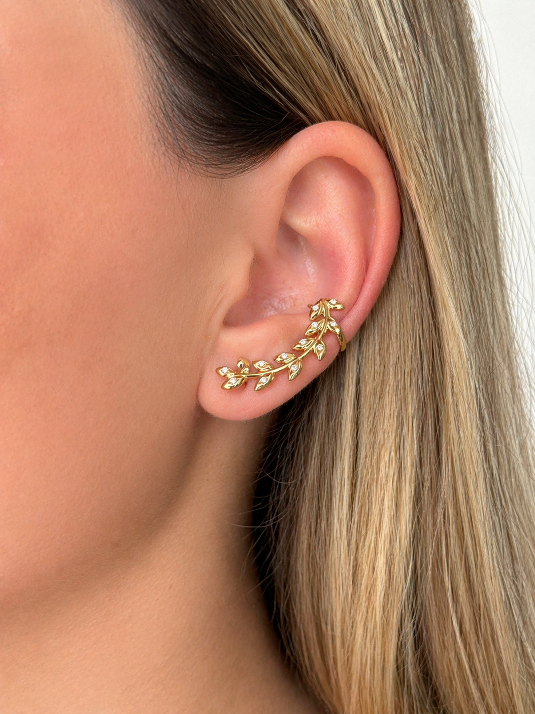 Ear Cuf flora