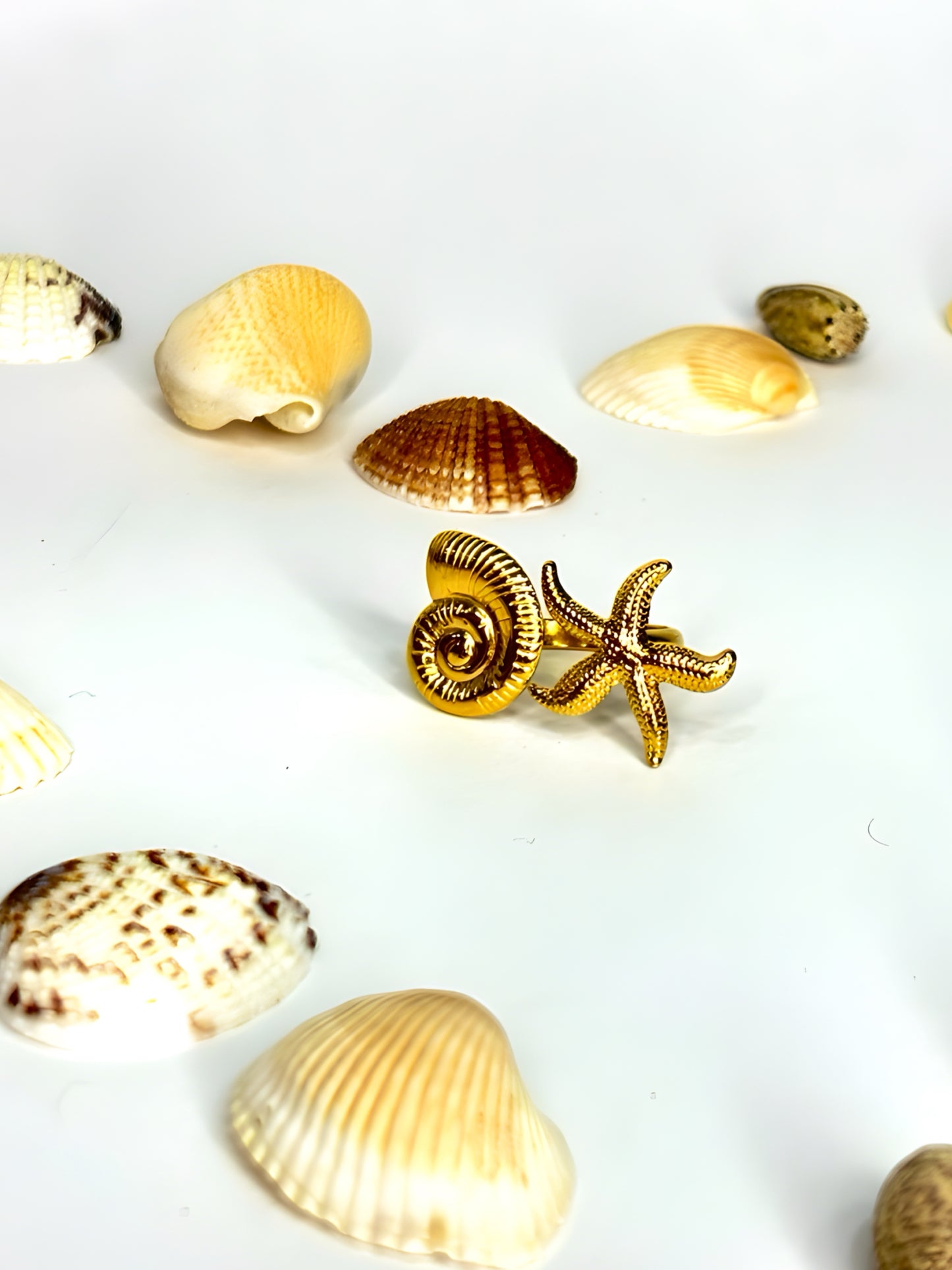 Anello SEA