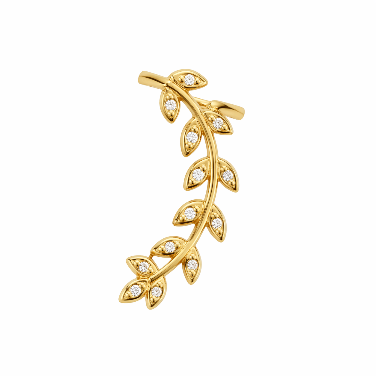 Ear Cuf flora