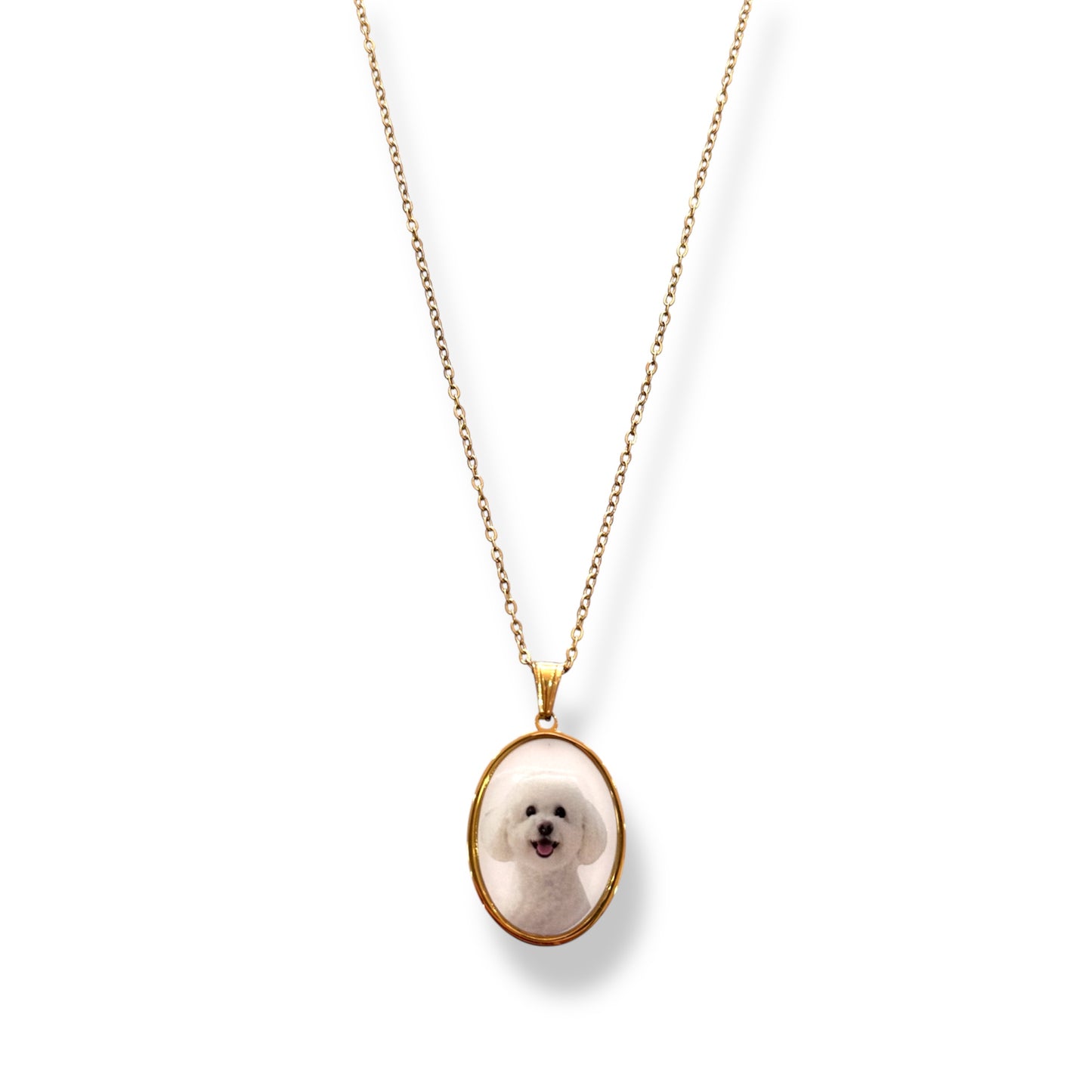 collana foto barboncino bianco