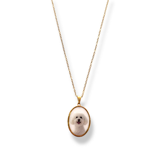 collana foto barboncino bianco
