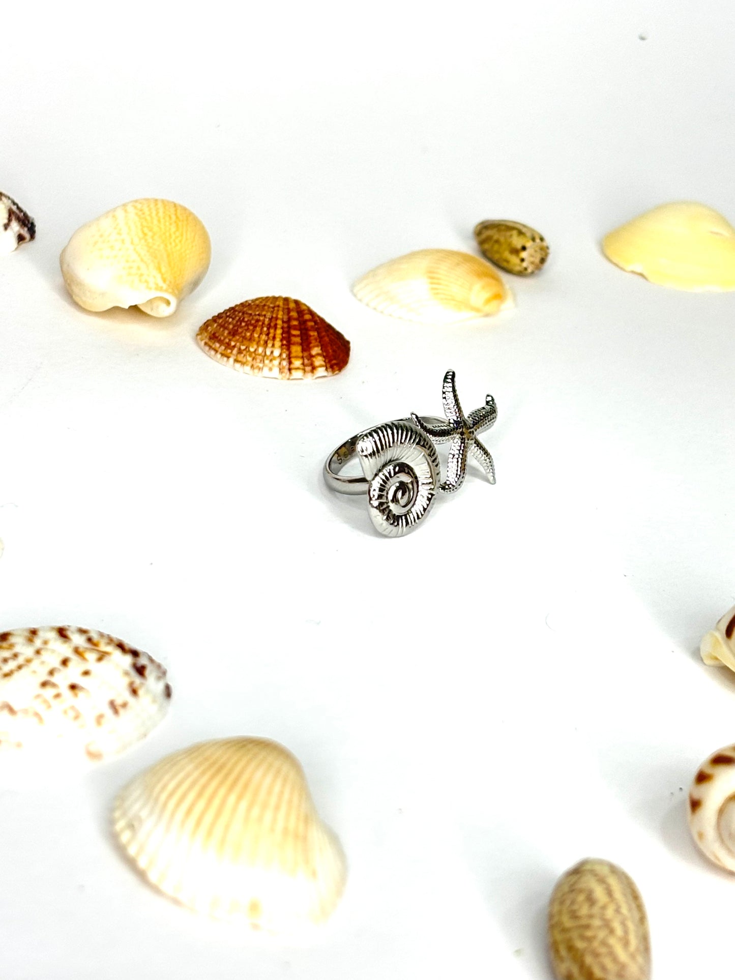 Anello SEA